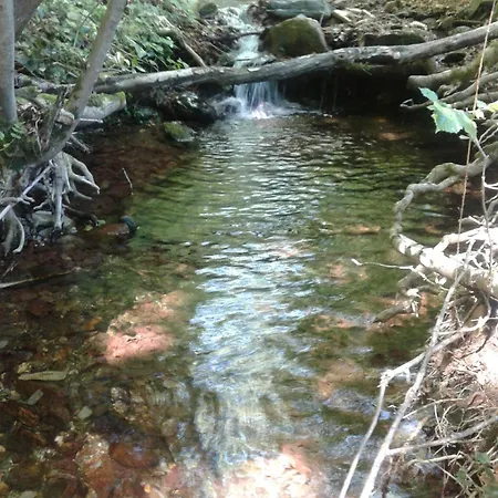 La Maison Du Chataignier *